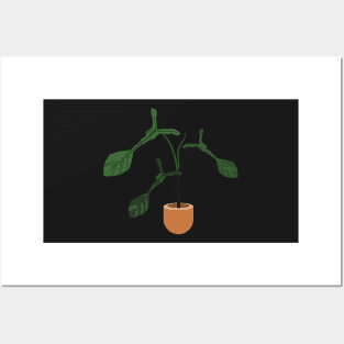 Philodendron Joepii rare plant Posters and Art